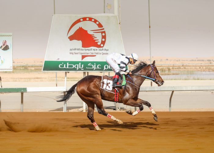 Horse Racing at King Saud Equestrian Club